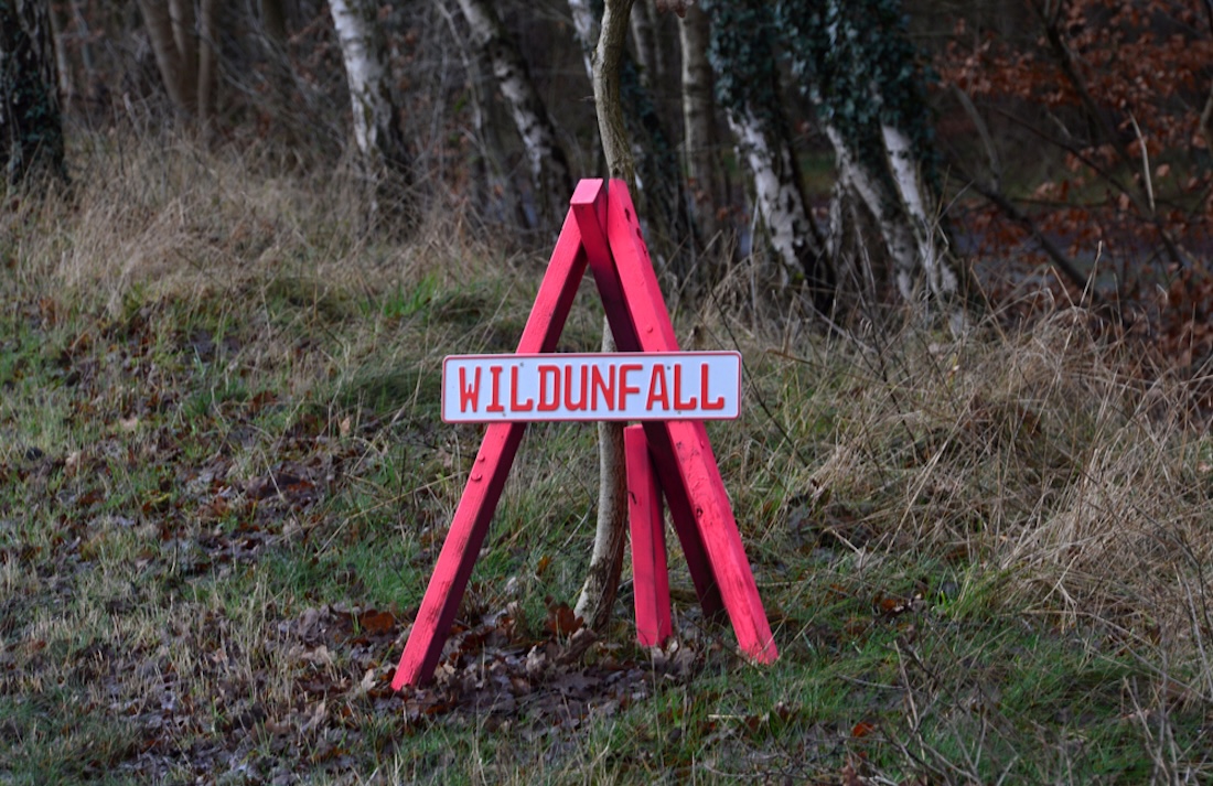 Wildunfall, Lüneburger Heide
