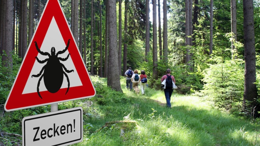 Schild mit Zeckenwarnung in gefährdetem Gebiet im Wald