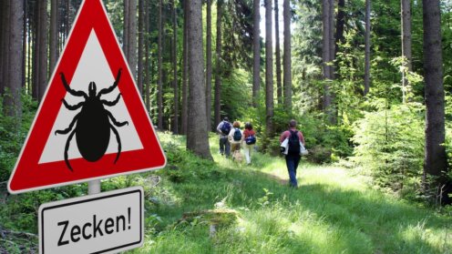 Schild mit Zeckenwarnung in gefährdetem Gebiet im Wald