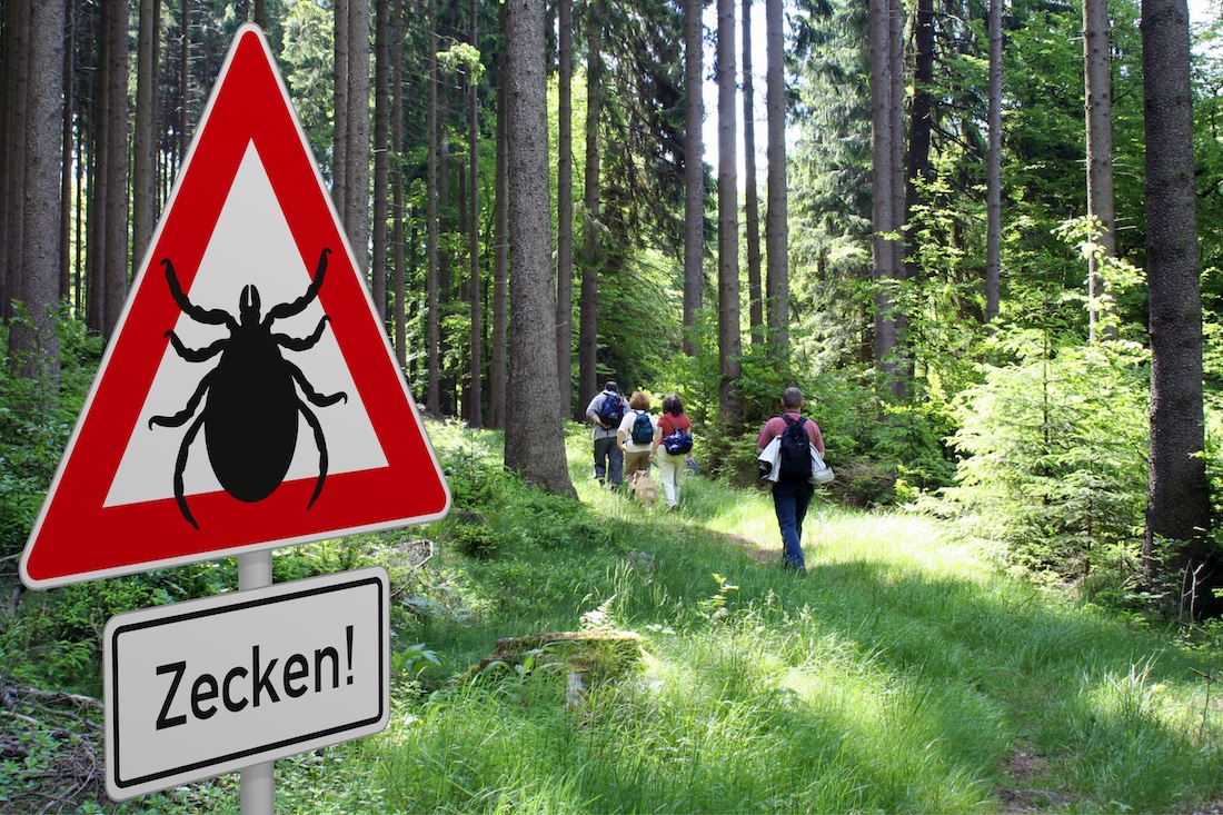 Schild mit Zeckenwarnung in gefährdetem Gebiet im Wald