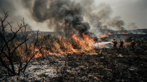 Drei Feuerwehrleute arbeiten gemeinsam daran, einen Waldbrand auf einem Feld zu löschen, indem sie mit Schläuchen Wasser auf die Flammen und die rauchverhüllte Landschaft spritzen.
