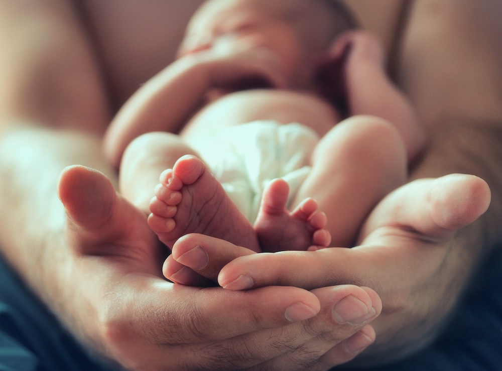 Geborgen und sicher: Versicherungen, Nachwuchs, Geburt, Familien