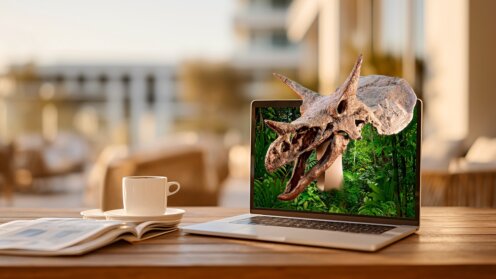 Foto eines Dinosaurier-Schädels, montiert in einen Laptopbildschirm