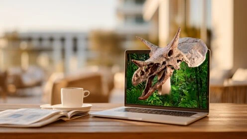 Foto eines Dinosaurier-Schädels, montiert in einen Laptopbildschirm